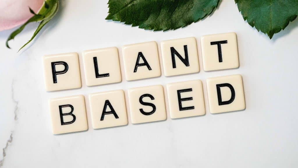 Plant based writing
