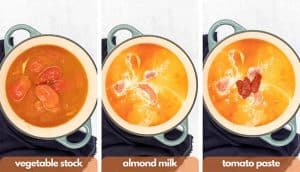 Process shots for how to making pink sauce pasta, add vegetable stock, almond milk and tomato paste.