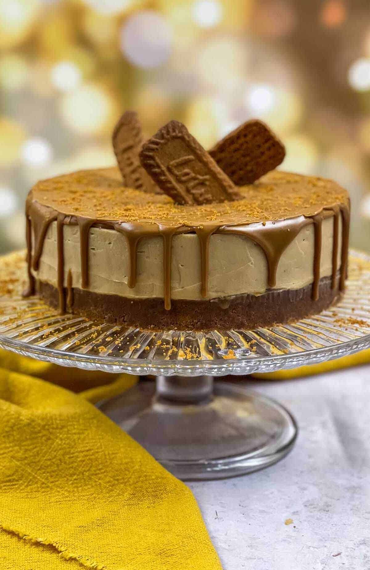 A delicious no-bake Biscoff cheesecake ready to eat.