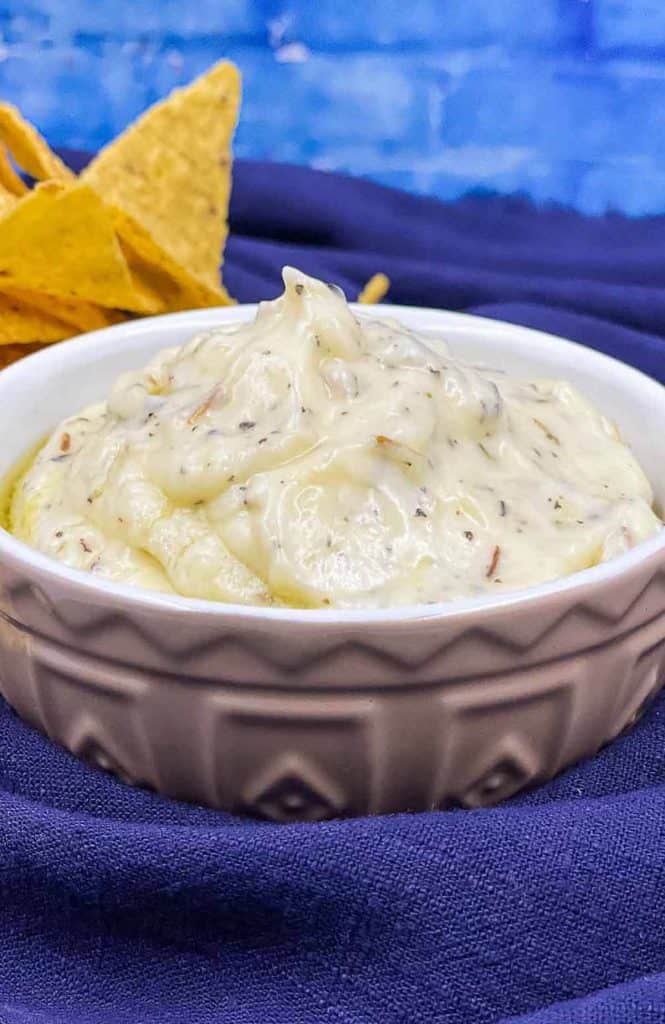 A freshly made bowl of tasty garlic dip.