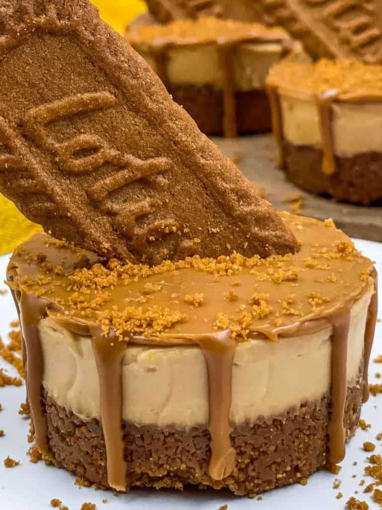 A close up of a delicious individual Biscoff cheesecake, with a base made from lotus biscuits, a creamy cheesecake filling and a lotus biscuit stuck into the top of the cheesecake.