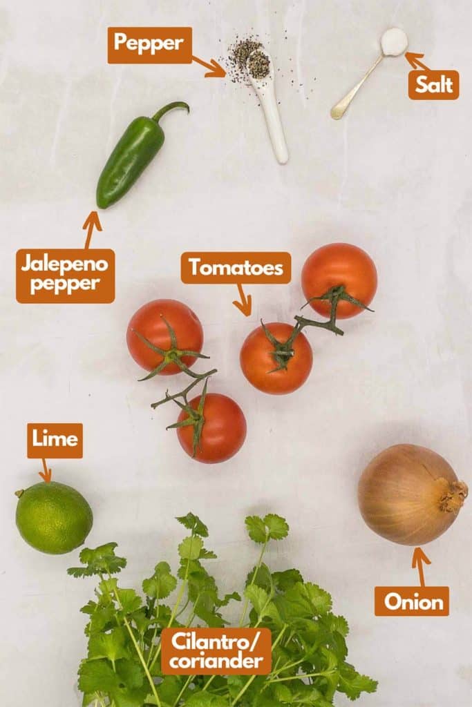 Ingredients needed, jalapeno pepper, black pepper, kosher salt, ripe tomatoes, onion, fresh cilantro, and fresh lime.