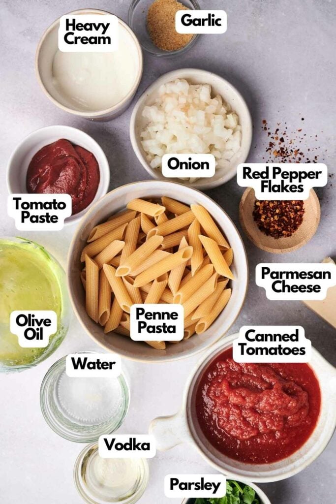 Ingredients for penne alla vodka arranged on a table, labeled individually, consisting of penne pasta, canned tomatoes, vodka, heavy cream, and spices.