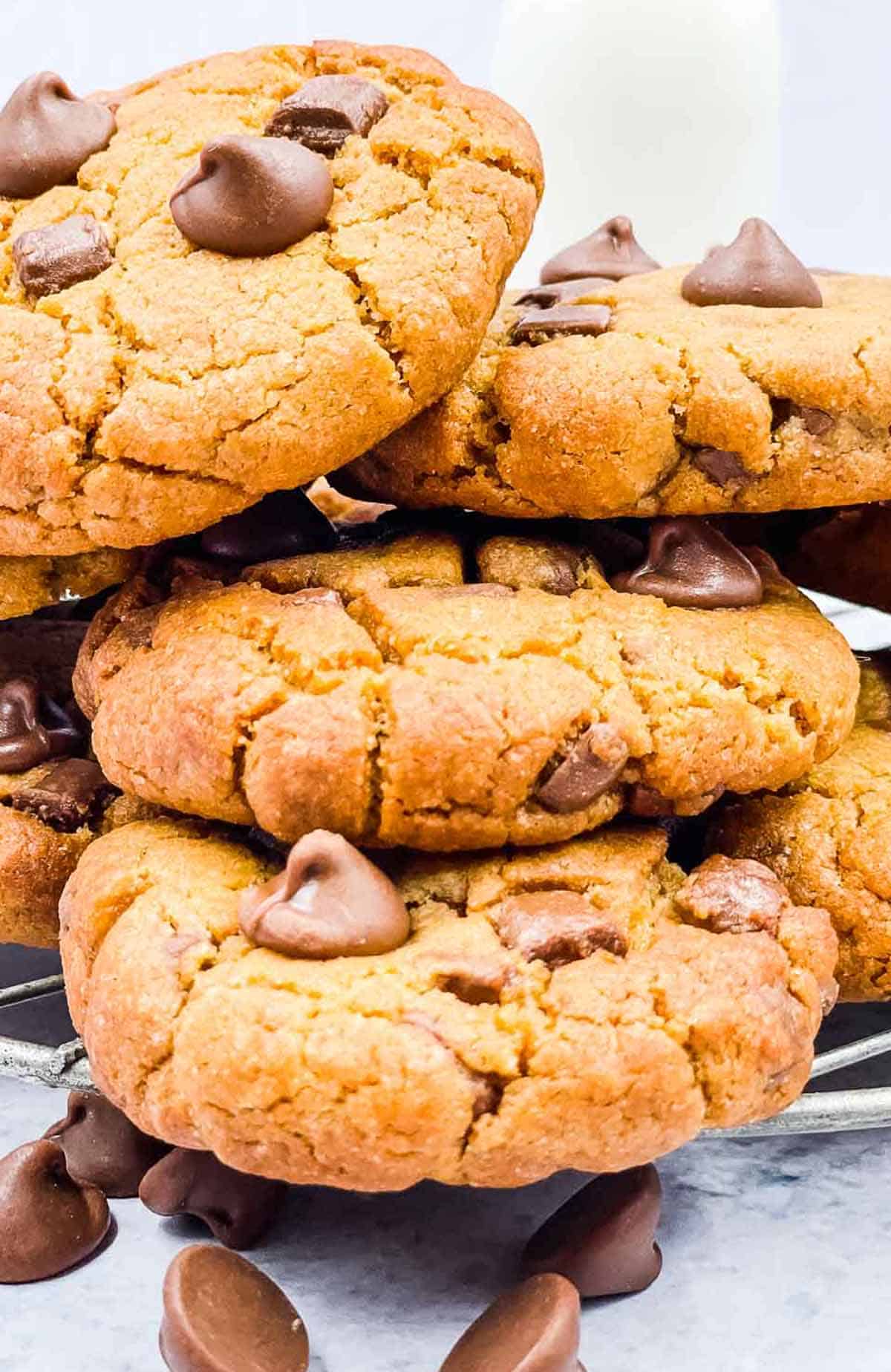 Delicious peanut butter chocolate chip cookies straight from the air fryer.