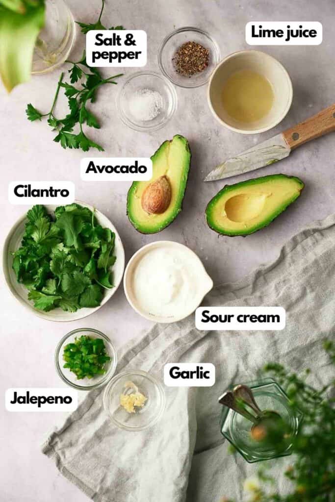 Ingredients needed; salt and black pepper, fresh lime juice, regular sour cream, fresh garlic, cilantro, and a ripe avocado.