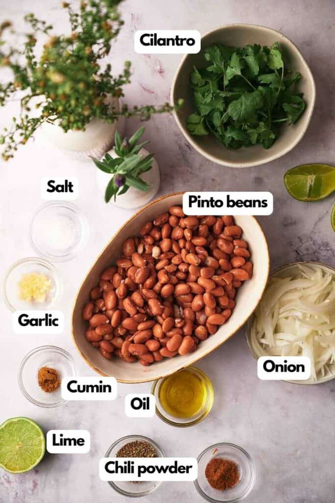 Ingredients needed, fresh cilantro, pinto beans, onion, chili powder, olive oil, fresh lime, ground cumin, minced garlic, and sea salt.