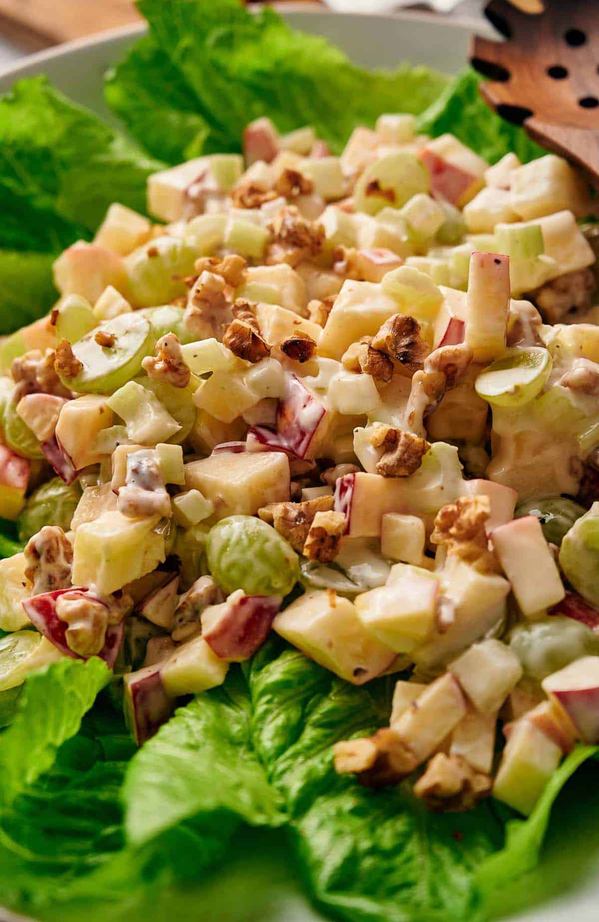 Delicious Waldorf Salad on a bed of lettuce.