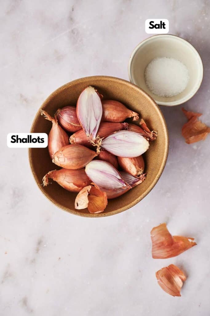 A bowl of salt and shallots.