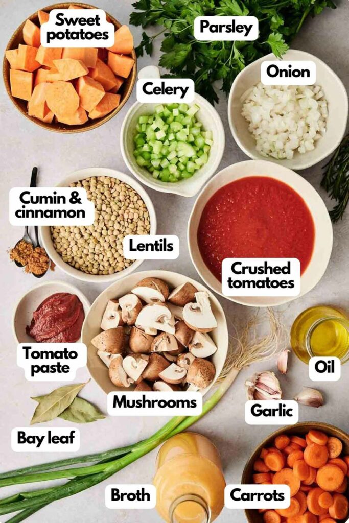 A list of ingredients for a vegetable stew recipe.