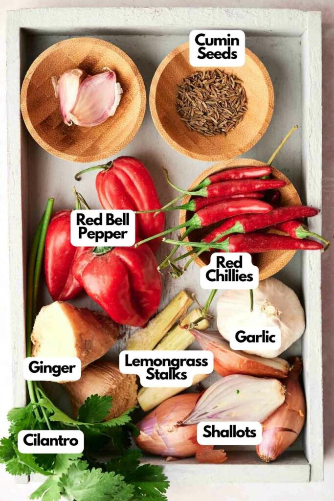 A list of ingredients for a Thai Red Curry Paste recipe.