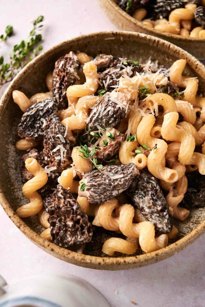 A bowl of Morel Mushroom Pasta, garnished with grated cheese and fresh herbs.