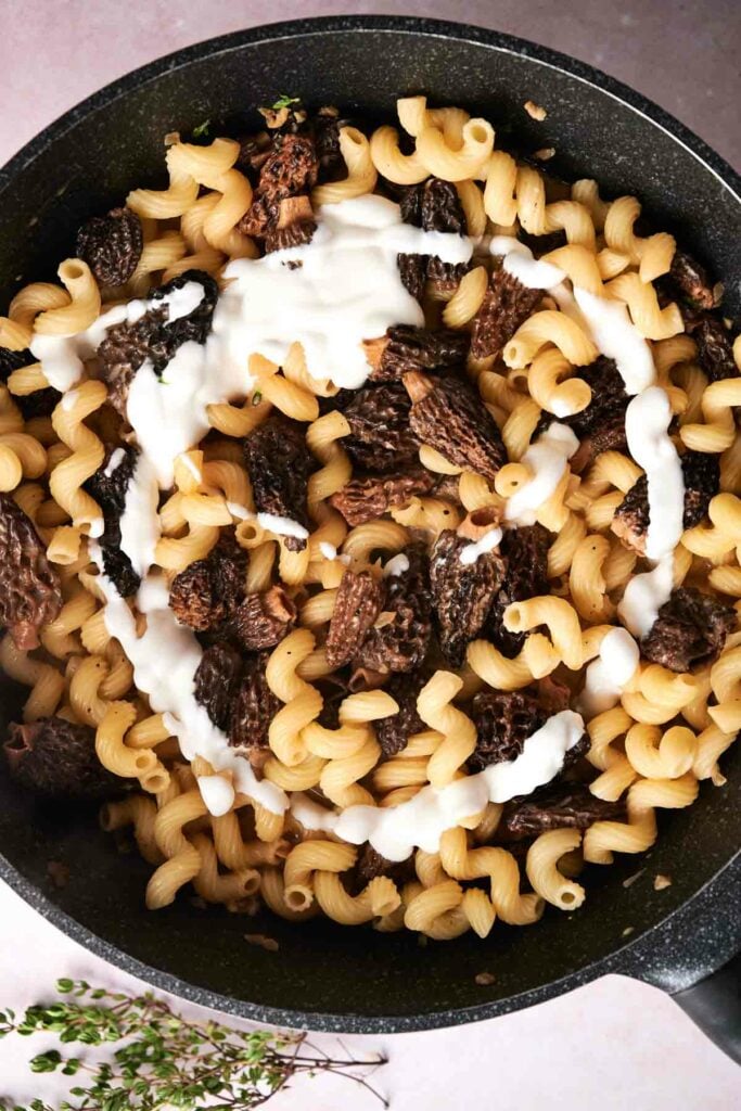 A skillet containing morel mushroom pasta mixed with cavatappi, topped with a white creamy sauce. Fresh thyme is placed next to the skillet.