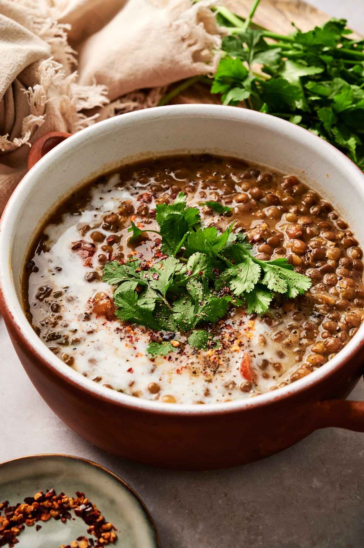 A steaming bowl of lentil soup crowned with fresh cilantro and a swirl of cream sits invitingly, surrounded by chopped cilantro and a beige cloth in the background.