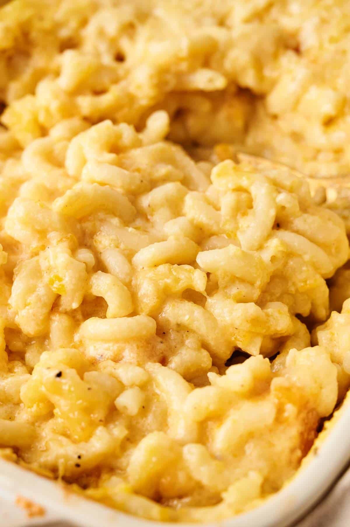 Close-up of creamy butternut squash mac and cheese with a golden-brown crust.