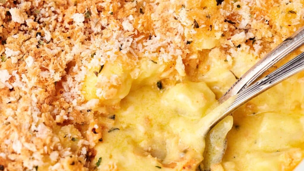 Close-up of a creamy baked dish with a golden breadcrumb topping, featuring a spoon scooping a portion.