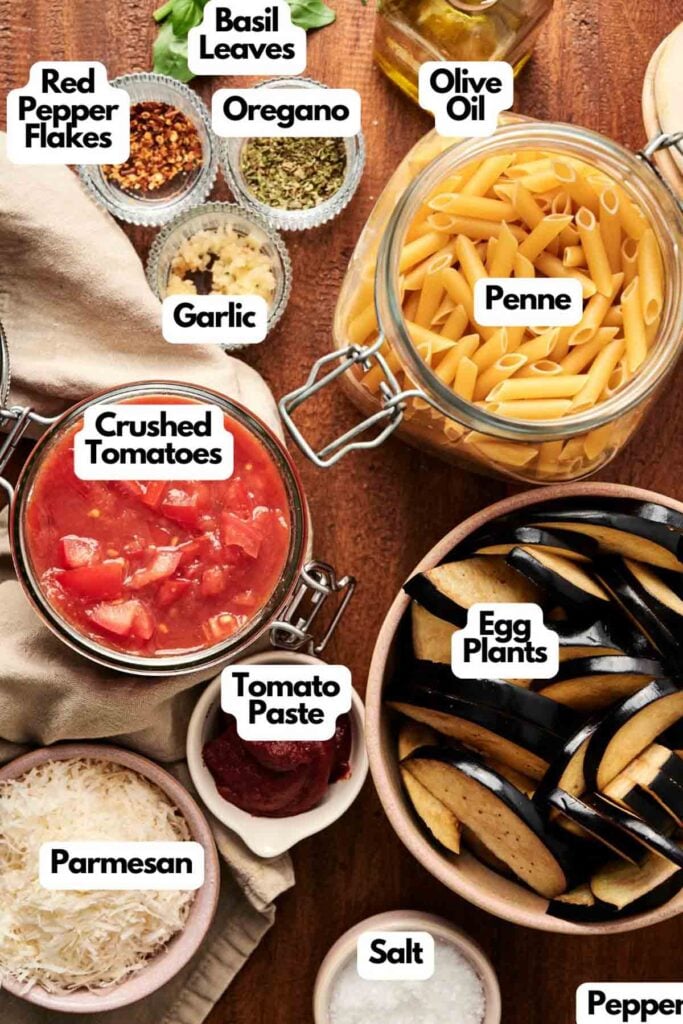 Top view of ingredients for a pasta dish, including penne, eggplants, crushed tomatoes, tomato paste, garlic, parmesan, olive oil, basil leaves, oregano, red pepper flakes, salt, and pepper.
