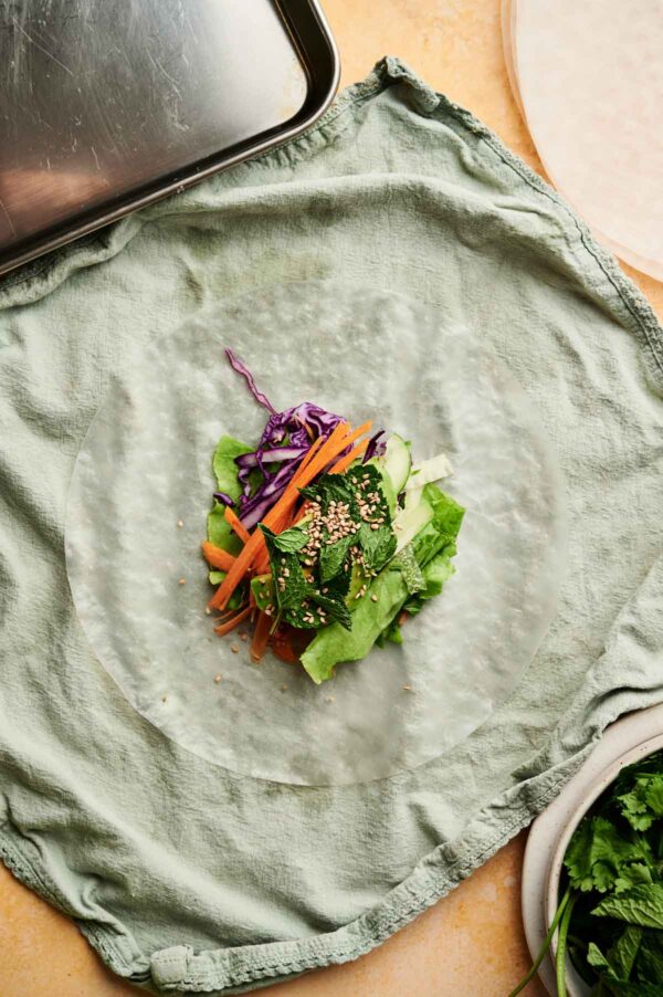 Flavor Packed Spring Rolls Recipe - Splash of Taste