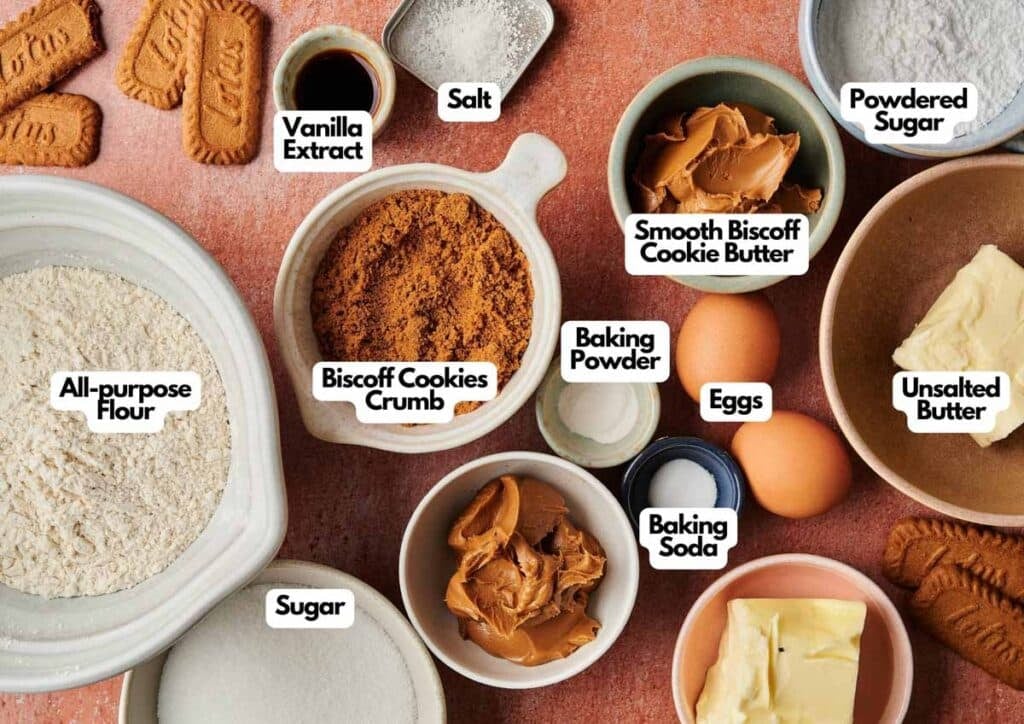 Various labeled baking ingredients, including flour, sugar, eggs, butter, Biscoff Sandwich Cookies and cookie butter, vanilla extract, powdered sugar, baking powder, baking soda, and salt arranged on a countertop.