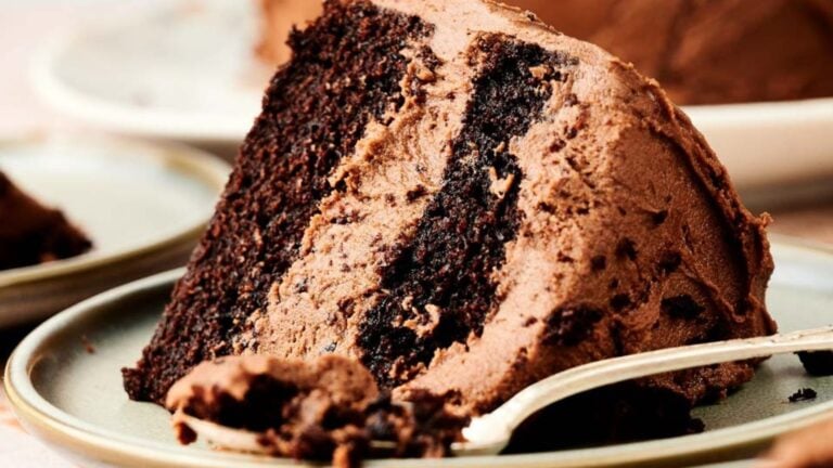A close-up of a slice of chocolate layer cake with chocolate frosting on a plate, with a fork resting beside it.