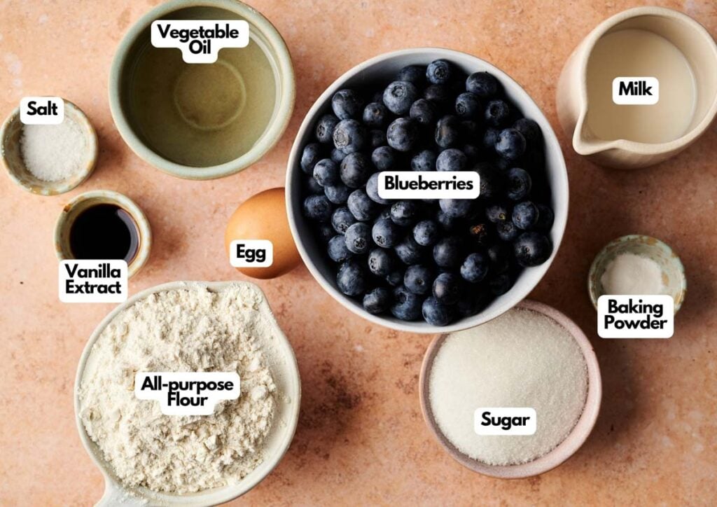 Various baking ingredients in bowls and cups, including those for Air Fryer Blueberry Muffins&mdash;blueberries, milk, vegetable oil, egg, vanilla extract, salt, baking powder, sugar, and all-purpose flour&mdash;labeled on a countertop.