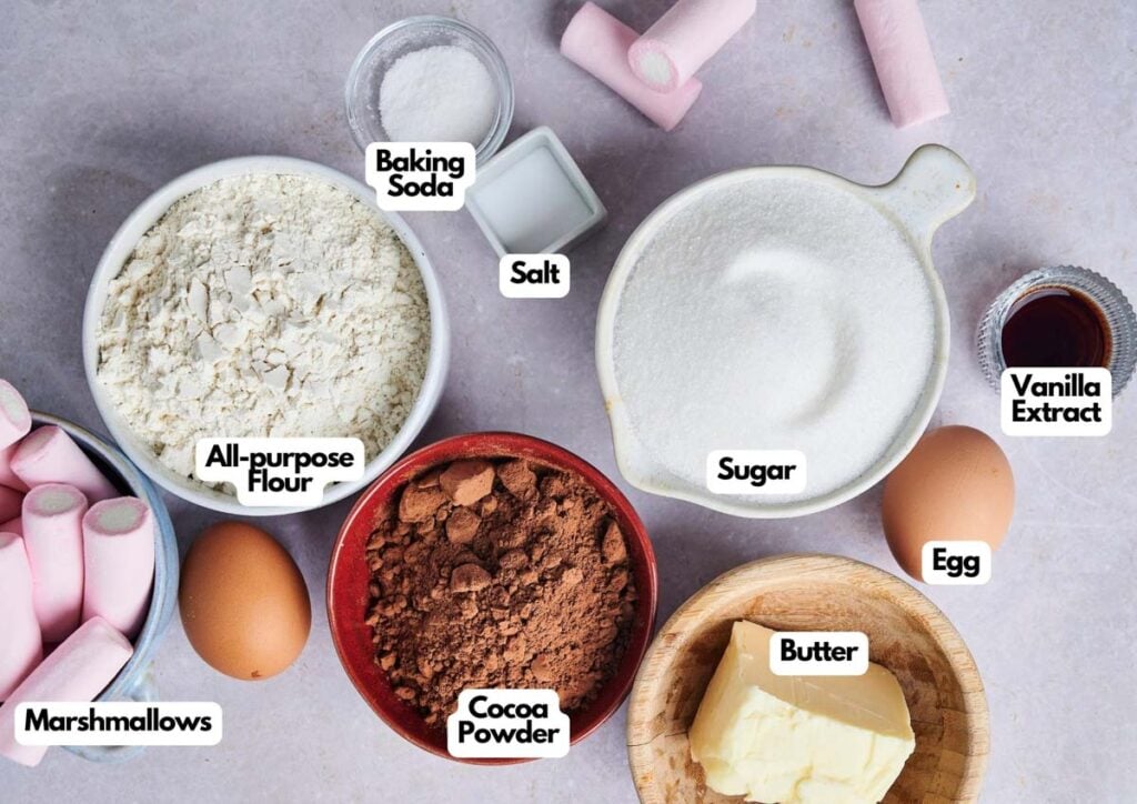 Assorted baking ingredients labeled for Air Fryer Marshmallow Swirl Cookies: all-purpose flour, baking soda, salt, sugar, vanilla extract, egg, butter, cocoa powder, and marshmallows arranged on a countertop.